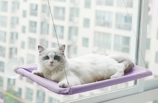 Sunny Spot Cat Window Hammock