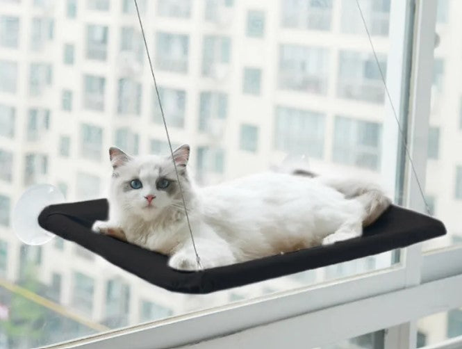 Sunny Spot Cat Window Hammock