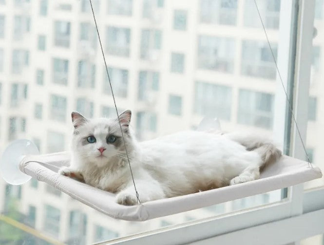 Sunny Spot Cat Window Hammock