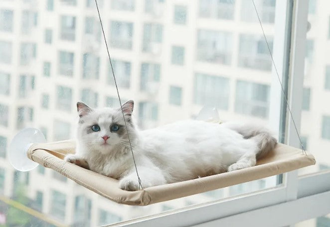 Sunny Spot Cat Window Hammock