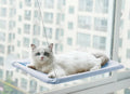 Sunny Spot Cat Window Hammock