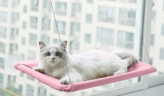 Sunny Spot Cat Window Hammock
